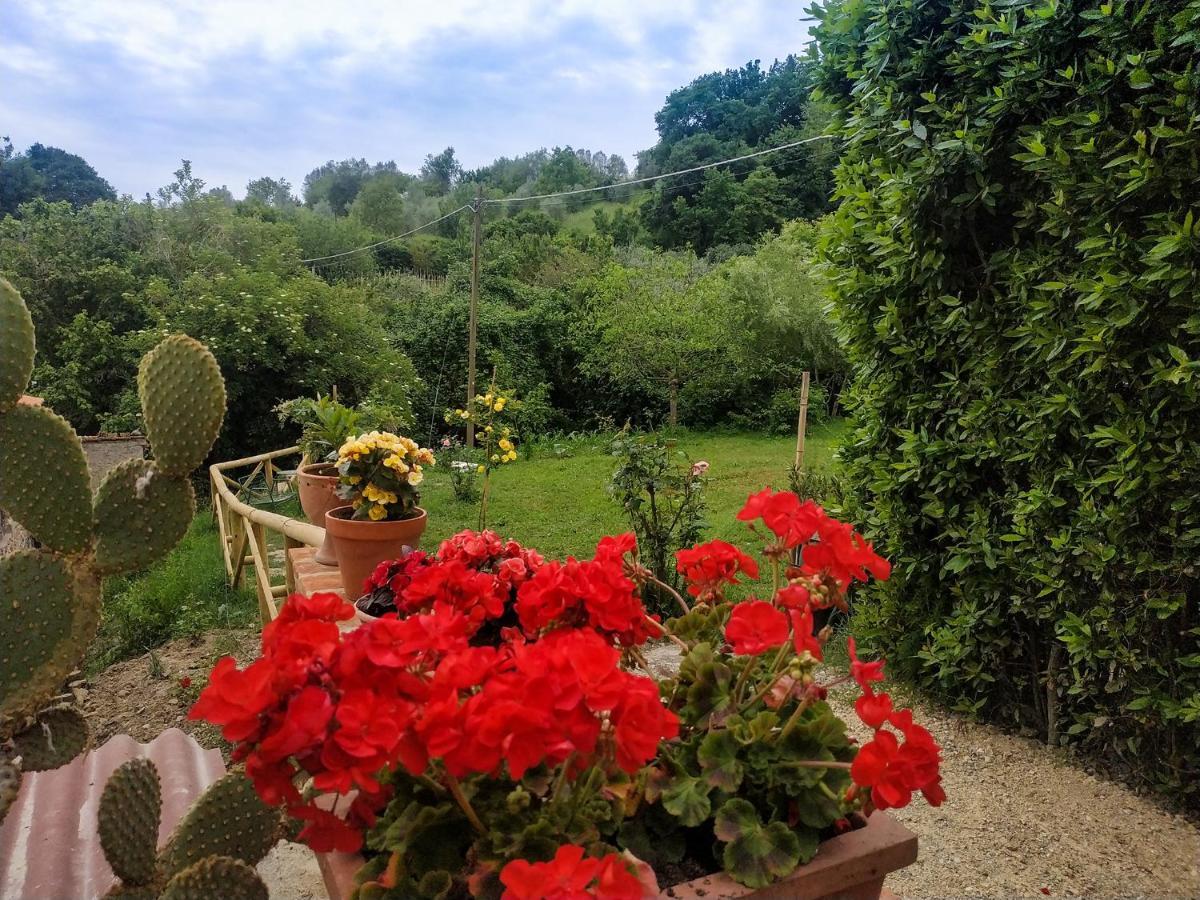 Locanda Prato D'Era Volterra Exteriér fotografie